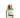 Goldfield & Banks Bohemian Lime Perfume