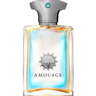 Amouage Portrayal EDP M - Niche Essence